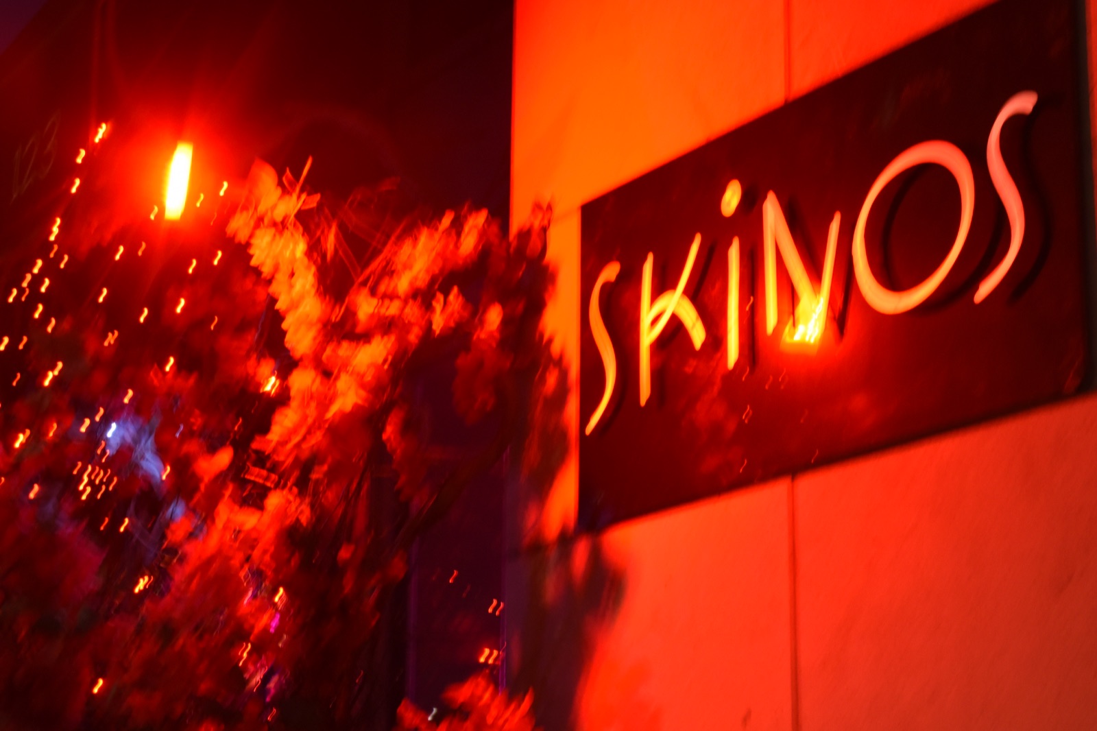 AHEPA Brooklyn Chapter 41 — 2026 Spring Awakening at Skinos