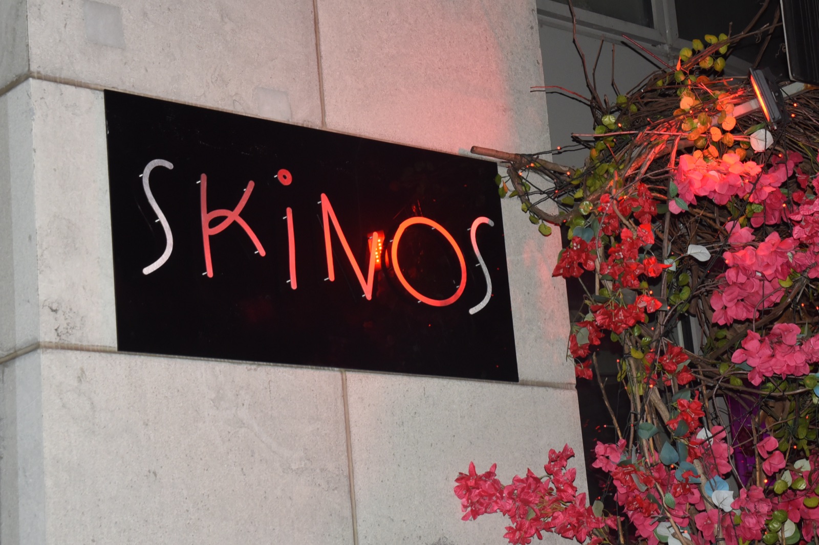 AHEPA Brooklyn Chapter 41 — 2026 Spring Awakening at Skinos